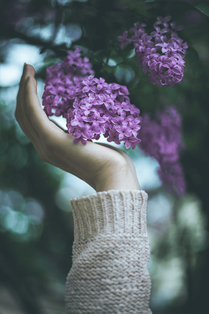 purple lilacs and hand